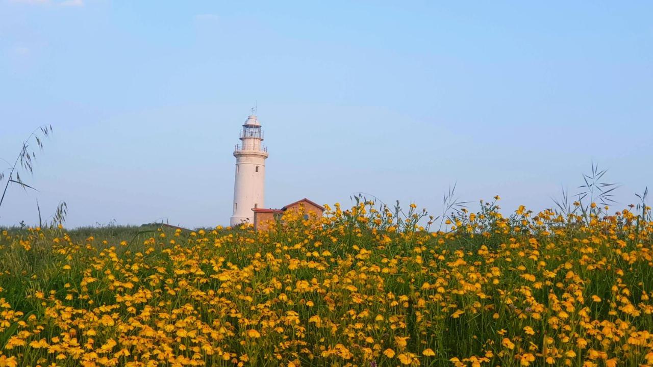 Dahan Sirena Lighthouse Luxury Apartment Paphos Eksteriør billede