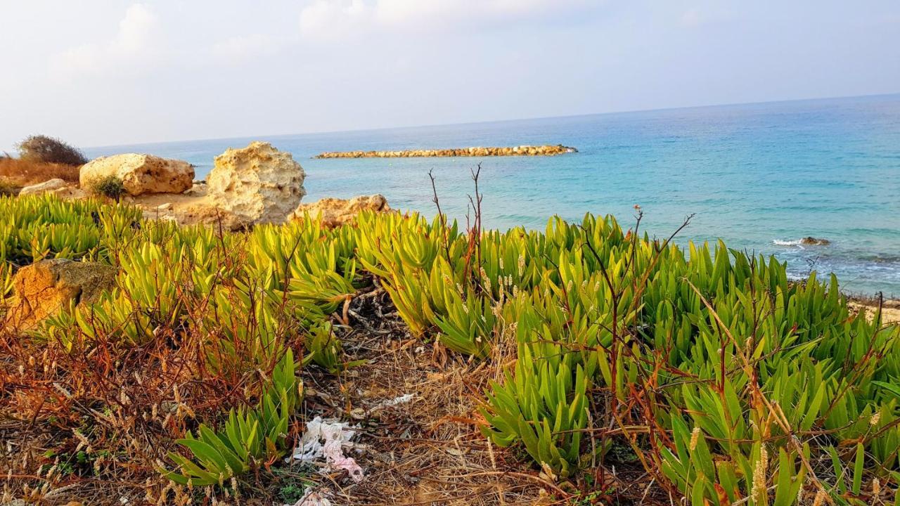 Dahan Sirena Lighthouse Luxury Apartment Paphos Eksteriør billede